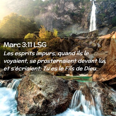 Picture 02 - Marc 3:11 LSG - Les esprits impurs, quand ils le voyaient, se - Bible Verse Picture