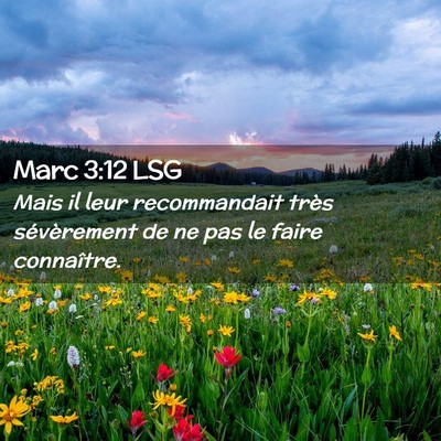 Picture 02 - Marc 3:12 LSG - Mais il leur recommandait très sévèrement de - Bible Verse Picture