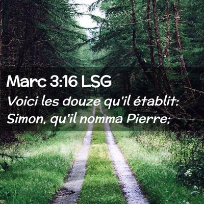 Picture 02 - Marc 3:16 LSG - Voici les douze qu'il établit: Simon, qu'il - Bible Verse Picture