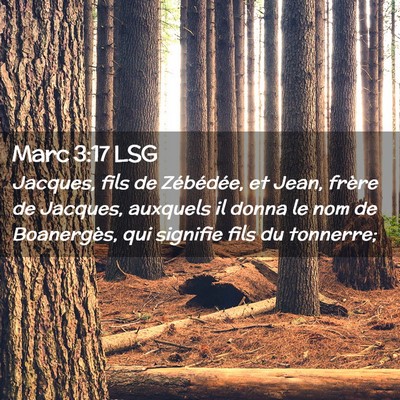 Picture 02 - Marc 3:17 LSG - Jacques, fils de Zébédée, et Jean, frère de - Bible Verse Picture