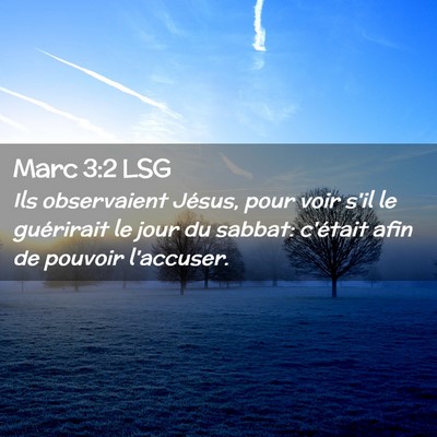 Picture 02 - Marc 3:2 LSG - Ils observaient Jésus, pour voir s'il le - Bible Verse Picture