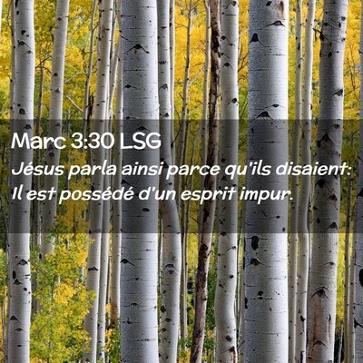 Picture 02 - Marc 3:30 LSG - Jésus parla ainsi parce qu'ils disaient: Il est - Bible Verse Picture