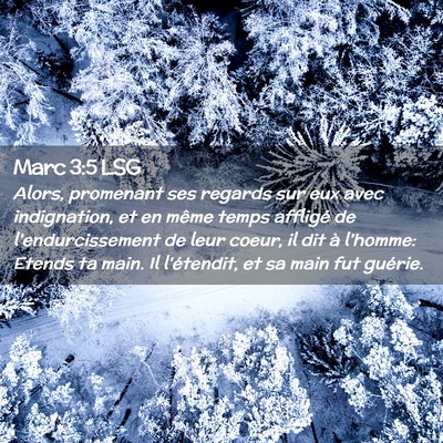 Picture 02 - Marc 3:5 LSG - Alors, promenant ses regards sur eux avec - Bible Verse Picture