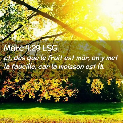 Picture 02 - Marc 4:29 LSG - et, dès que le fruit est mûr, on y met la - Bible Verse Picture