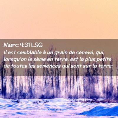 Picture 02 - Marc 4:31 LSG - Il est semblable à un grain de sénevé, qui, - Bible Verse Picture