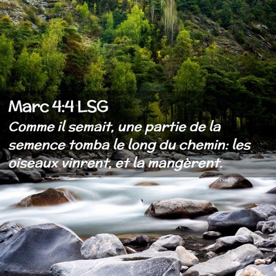 Picture 02 - Marc 4:4 LSG - Comme il semait, une partie de la semence tomba - Bible Verse Picture