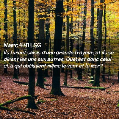 Picture 02 - Marc 4:41 LSG - Ils furent saisis d'une grande frayeur, et ils se - Bible Verse Picture