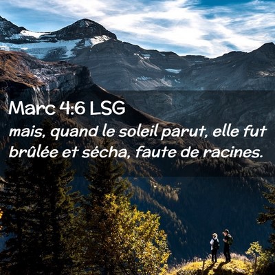 Picture 02 - Marc 4:6 LSG - mais, quand le soleil parut, elle fut brûlée et - Bible Verse Picture
