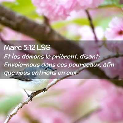 Picture 02 - Marc 5:12 LSG - Et les démons le prièrent, disant: Envoie-nous - Bible Verse Picture