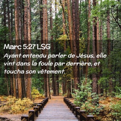 Picture 02 - Marc 5:27 LSG - Ayant entendu parler de Jésus, elle vint dans la - Bible Verse Picture