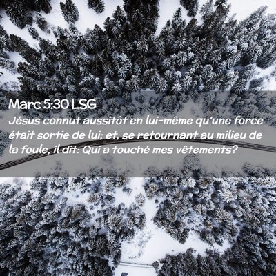 Picture 02 - Marc 5:30 LSG - Jésus connut aussitôt en lui-même qu'une force - Bible Verse Picture