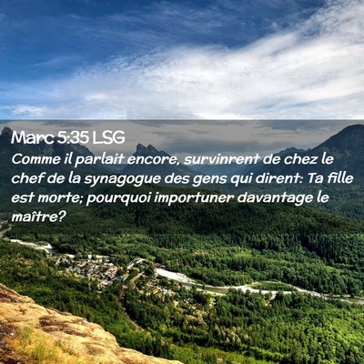 Picture 02 - Marc 5:35 LSG - Comme il parlait encore, survinrent de chez le - Bible Verse Picture