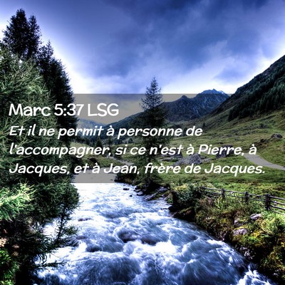 Picture 02 - Marc 5:37 LSG - Et il ne permit à personne de l'accompagner, si - Bible Verse Picture