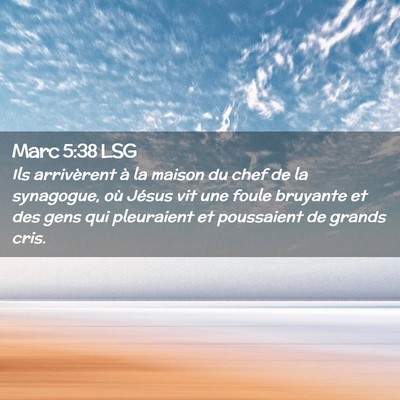 Picture 02 - Marc 5:38 LSG - Ils arrivèrent à la maison du chef de la - Bible Verse Picture