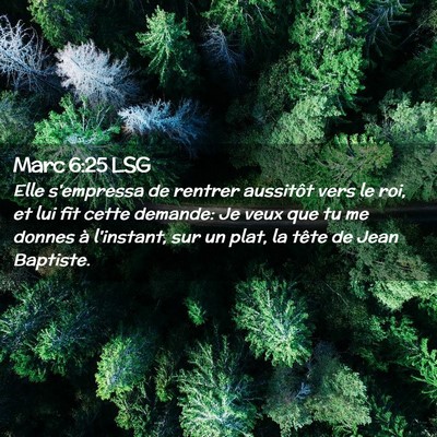 Picture 02 - Marc 6:25 LSG - Elle s'empressa de rentrer aussitôt vers le roi, - Bible Verse Picture