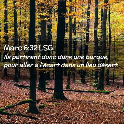 Picture 02 - Marc 6:32 LSG - Ils partirent donc dans une barque, pour aller à - Bible Verse Picture