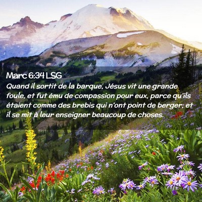 Picture 02 - Marc 6:34 LSG - Quand il sortit de la barque, Jésus vit une - Bible Verse Picture