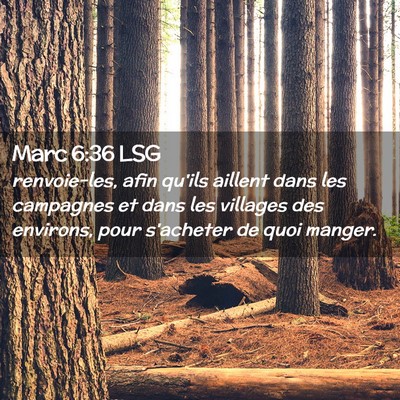 Picture 02 - Marc 6:36 LSG - renvoie-les, afin qu'ils aillent dans les - Bible Verse Picture