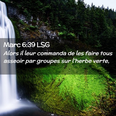 Picture 02 - Marc 6:39 LSG - Alors il leur commanda de les faire tous asseoir - Bible Verse Picture