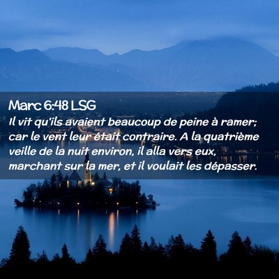 Picture 02 - Marc 6:48 LSG - Il vit qu'ils avaient beaucoup de peine à ramer; - Bible Verse Picture