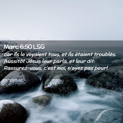 Picture 02 - Marc 6:50 LSG - car ils le voyaient tous, et ils étaient - Bible Verse Picture