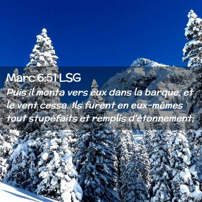 Picture 02 - Marc 6:51 LSG - Puis il monta vers eux dans la barque, et le vent - Bible Verse Picture