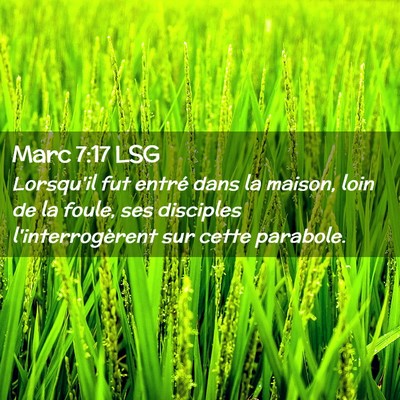 Picture 02 - Marc 7:17 LSG - Lorsqu'il fut entré dans la maison, loin de la - Bible Verse Picture
