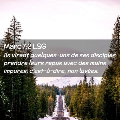 Picture 02 - Marc 7:2 LSG - Ils virent quelques-uns de ses disciples prendre - Bible Verse Picture