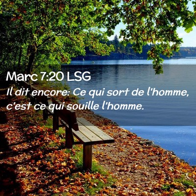 Picture 02 - Marc 7:20 LSG - Il dit encore: Ce qui sort de l'homme, c'est ce - Bible Verse Picture