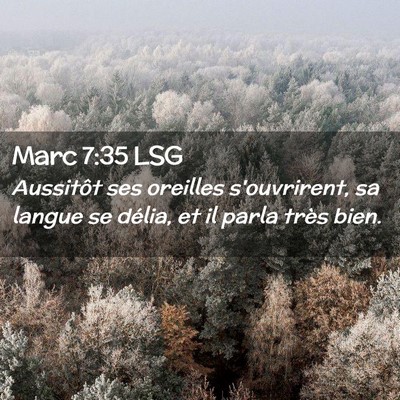 Picture 02 - Marc 7:35 LSG - Aussitôt ses oreilles s'ouvrirent, sa langue se - Bible Verse Picture