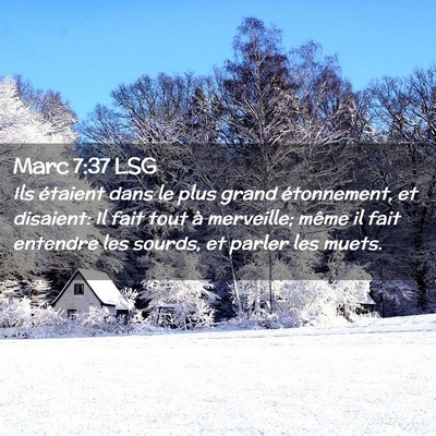 Picture 02 - Marc 7:37 LSG - Ils étaient dans le plus grand étonnement, et - Bible Verse Picture