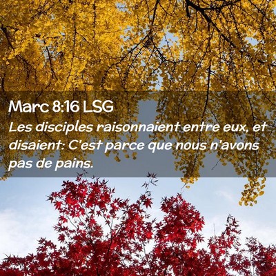 Picture 02 - Marc 8:16 LSG - Les disciples raisonnaient entre eux, et - Bible Verse Picture