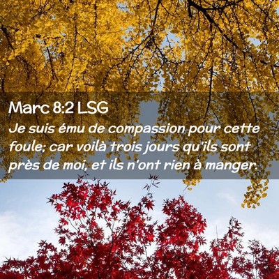 Picture 02 - Marc 8:2 LSG - Je suis ému de compassion pour cette foule; car - Bible Verse Picture