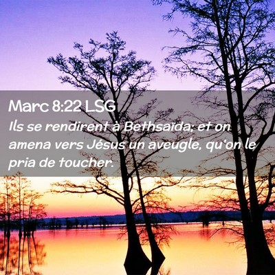 Picture 02 - Marc 8:22 LSG - Ils se rendirent à Bethsaïda; et on amena vers - Bible Verse Picture