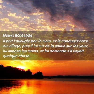 Picture 02 - Marc 8:23 LSG - Il prit l'aveugle par la main, et le conduisit - Bible Verse Picture