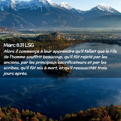 Picture 02 - Marc 8:31 LSG - Alors il commença à leur apprendre qu'il - Bible Verse Picture
