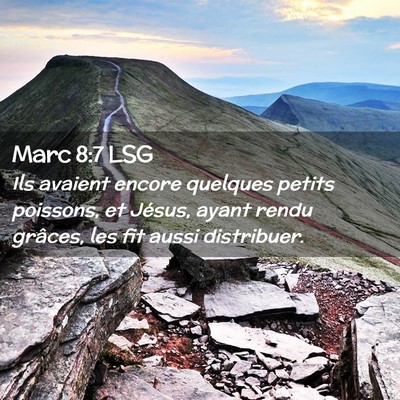 Picture 02 - Marc 8:7 LSG - Ils avaient encore quelques petits poissons, et - Bible Verse Picture