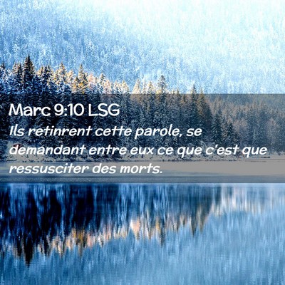 Picture 02 - Marc 9:10 LSG - Ils retinrent cette parole, se demandant entre - Bible Verse Picture