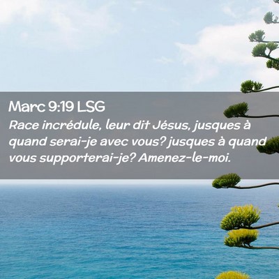 Picture 02 - Marc 9:19 LSG - Race incrédule, leur dit Jésus, jusques à - Bible Verse Picture