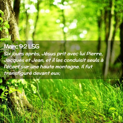 Picture 02 - Marc 9:2 LSG - Six jours après, Jésus prit avec lui Pierre, - Bible Verse Picture