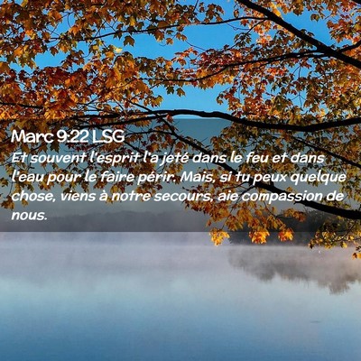 Picture 02 - Marc 9:22 LSG - Et souvent l'esprit l'a jeté dans le feu et dans - Bible Verse Picture