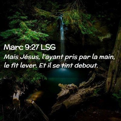 Picture 02 - Marc 9:27 LSG - Mais Jésus, l'ayant pris par la main, le fit - Bible Verse Picture