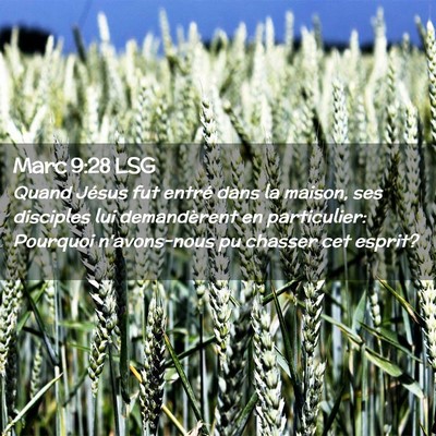 Picture 02 - Marc 9:28 LSG - Quand Jésus fut entré dans la maison, ses - Bible Verse Picture