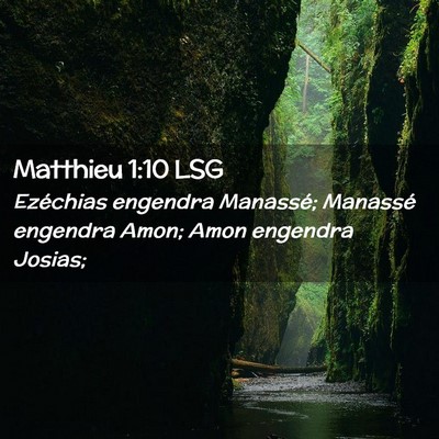 Picture 02 - Matthieu 1:10 LSG - Ezéchias engendra Manassé; Manassé engendra - Bible Verse Picture
