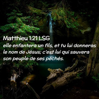 Picture 02 - Matthieu 1:21 LSG - elle enfantera un fils, et tu lui donneras le nom - Bible Verse Picture