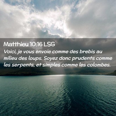Picture 02 - Matthieu 10:16 LSG - Voici, je vous envoie comme des brebis au milieu - Bible Verse Picture