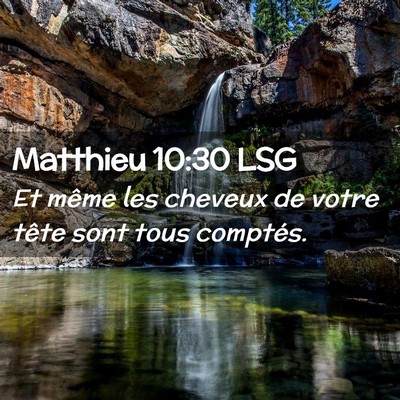 Picture 02 - Matthieu 10:30 LSG - Et même les cheveux de votre tête sont tous - Bible Verse Picture