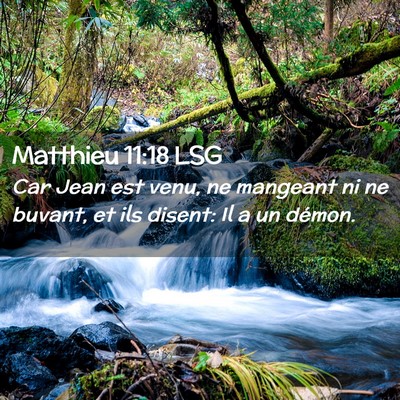 Picture 02 - Matthieu 11:18 LSG - Car Jean est venu, ne mangeant ni ne buvant, et - Bible Verse Picture