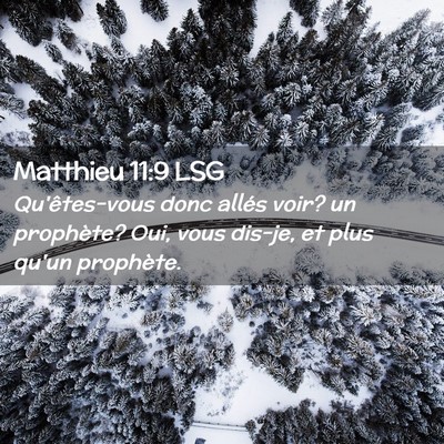 Picture 02 - Matthieu 11:9 LSG - Qu'êtes-vous donc allés voir? un prophète? - Bible Verse Picture