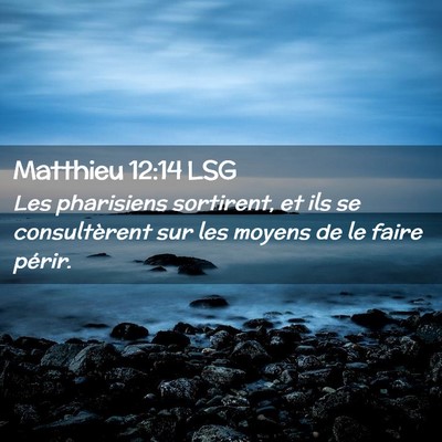 Picture 02 - Matthieu 12:14 LSG - Les pharisiens sortirent, et ils se consultèrent - Bible Verse Picture
